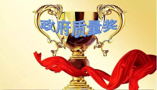 卓越绩效模式（政府质量奖）